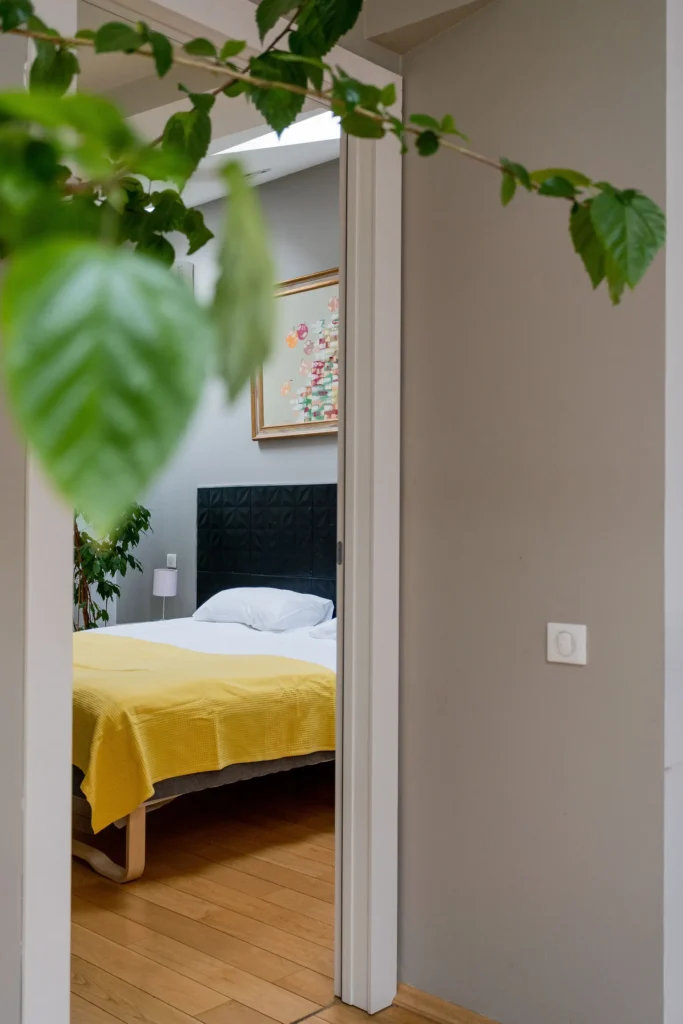 Loft des Halles : chambre vue depuis la porte, plante au premier plan