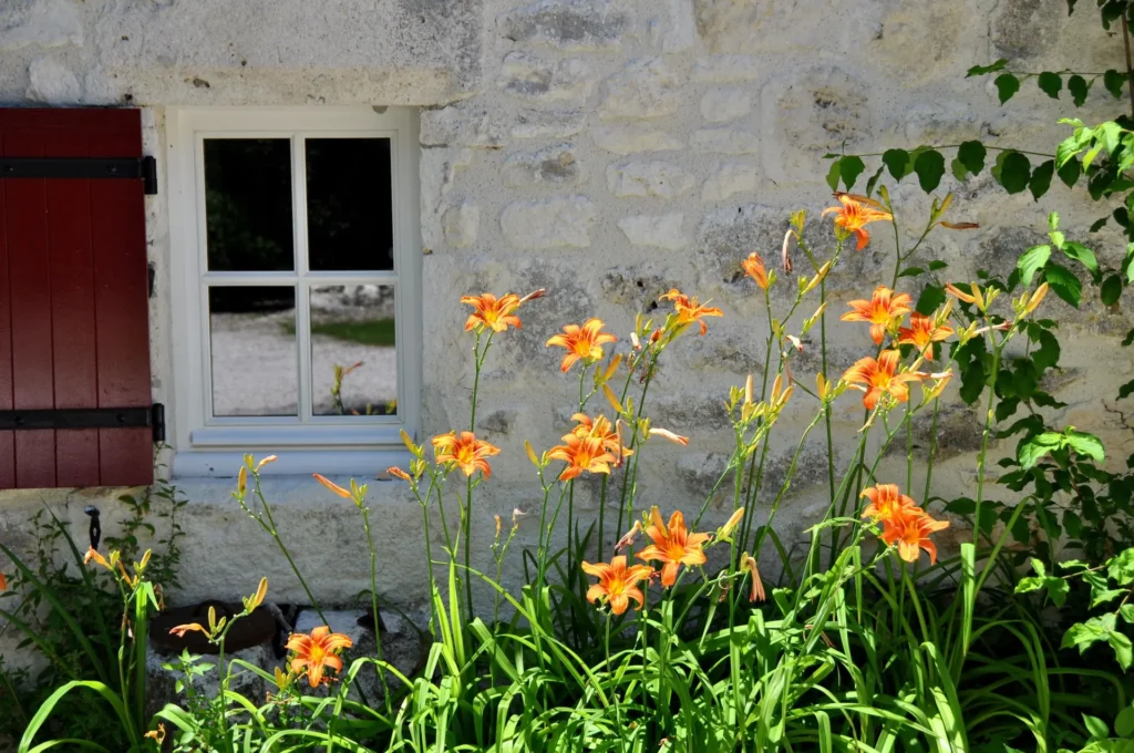 Maison Gorria : fenêtre aux volets rouges et lys orangés