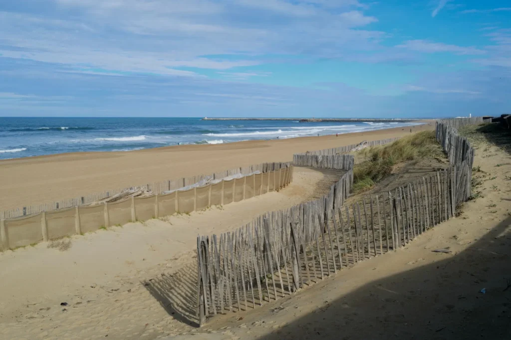 Studio Surf : plage et ganivelles des dunes d'Anglet